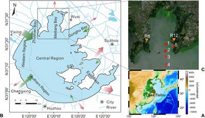 Seasonal constraints on the burial of organic carbon in the eutrophic Lake Taihu